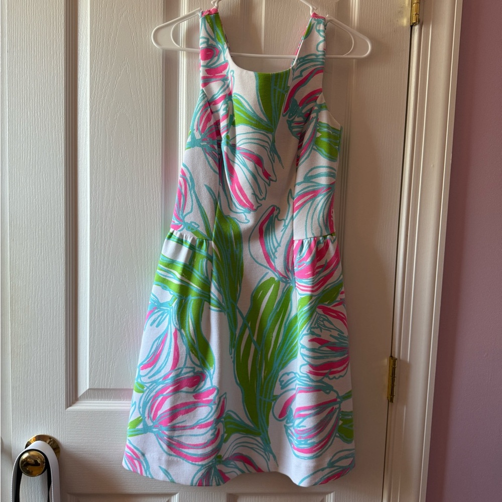 Lilly Pulitzer Multicolor Dress